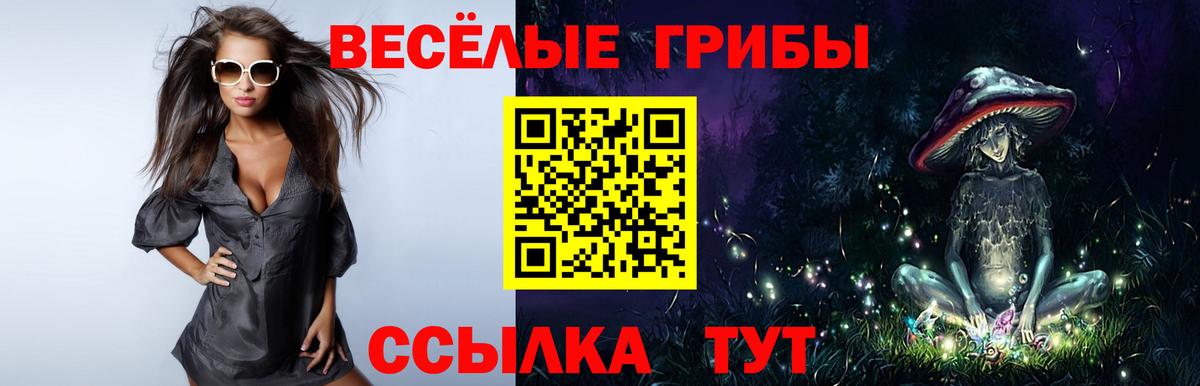Галлюциногенные грибы Psilocybine cubensis Обнинск